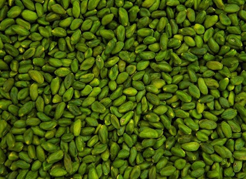 خرید قوتو پسته